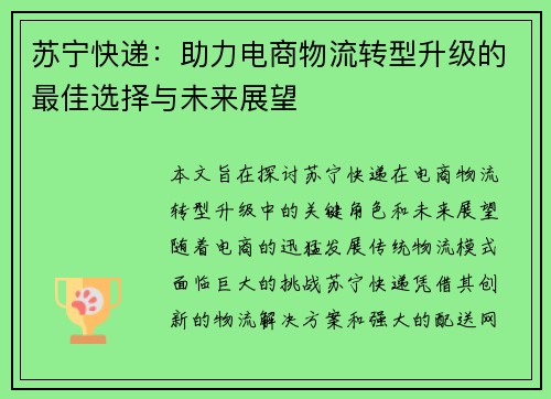 苏宁快递：助力电商物流转型升级的最佳选择与未来展望